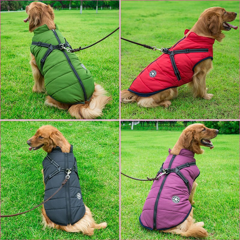 DogFri DogJacket: Waterproof Winter Dog Coat