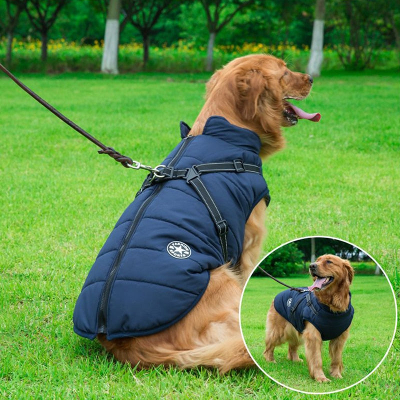 DogFri DogJacket: Waterproof Winter Dog Coat