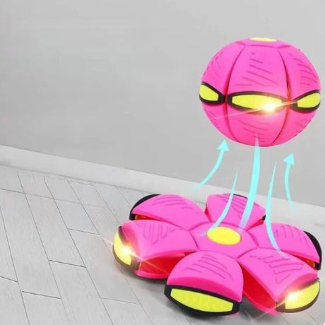 DiscBall β Dog Disc Ball Pet Toy