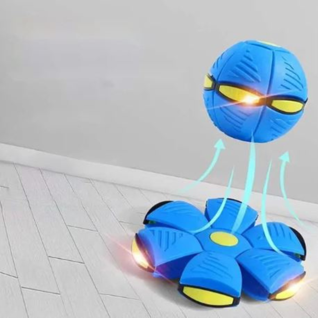 DiscBall β Dog Disc Ball Pet Toy