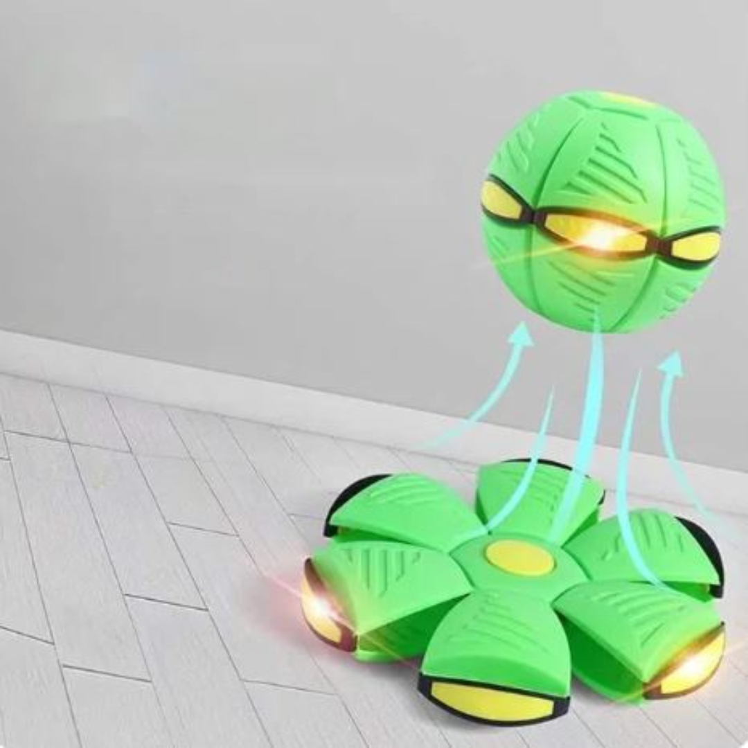 DiscBall β Dog Disc Ball Pet Toy