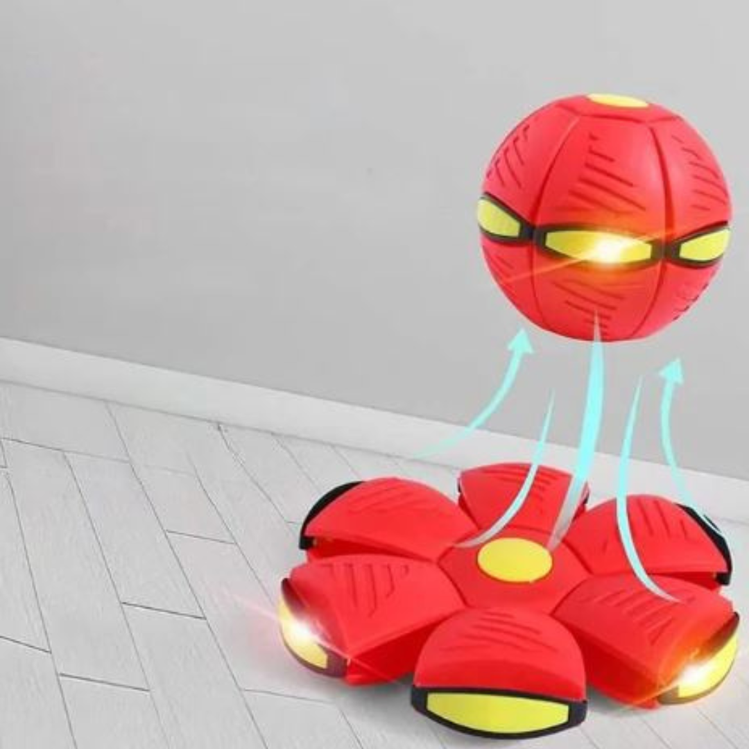 DiscBall β Dog Disc Ball Pet Toy