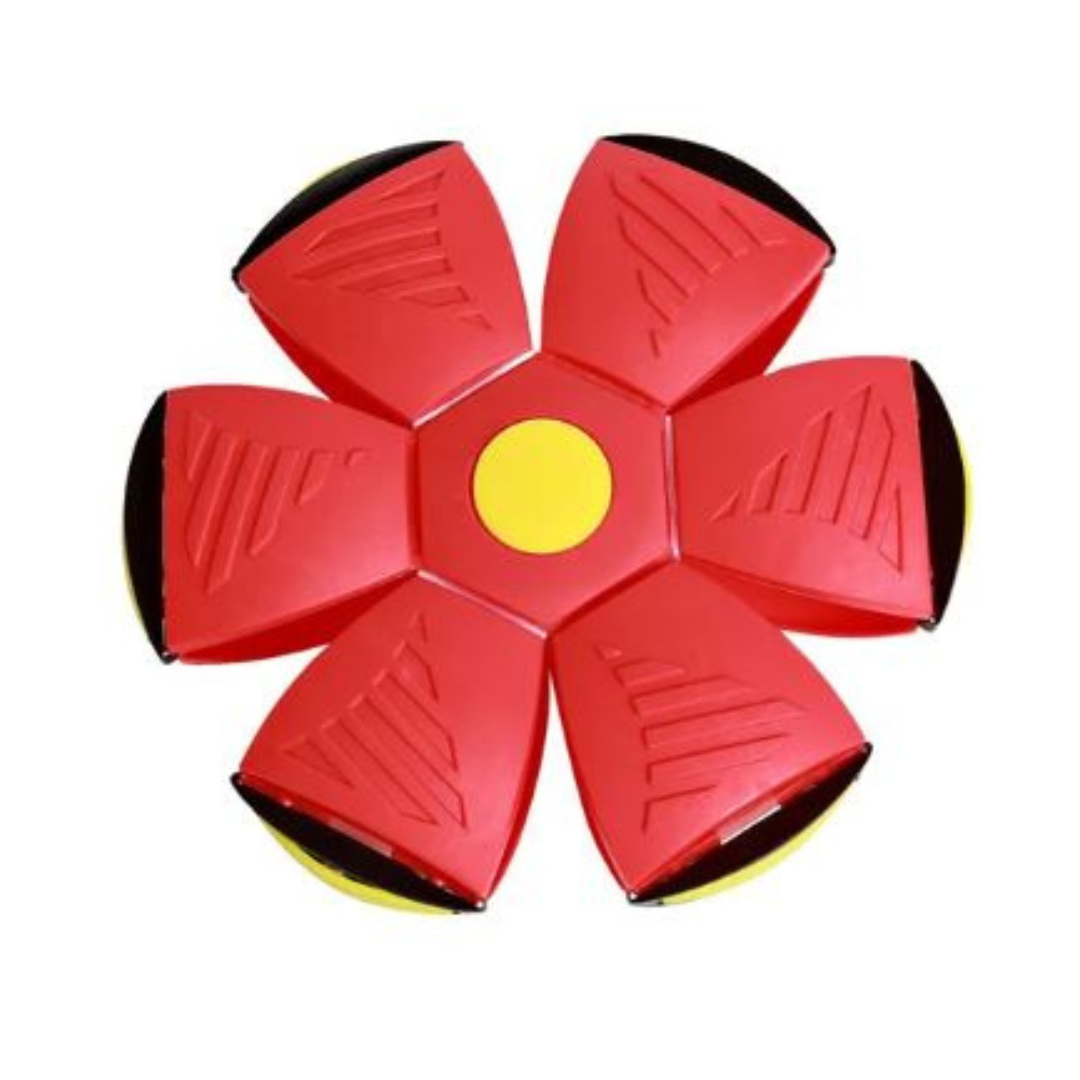 DiscBall β Dog Disc Ball Pet Toy