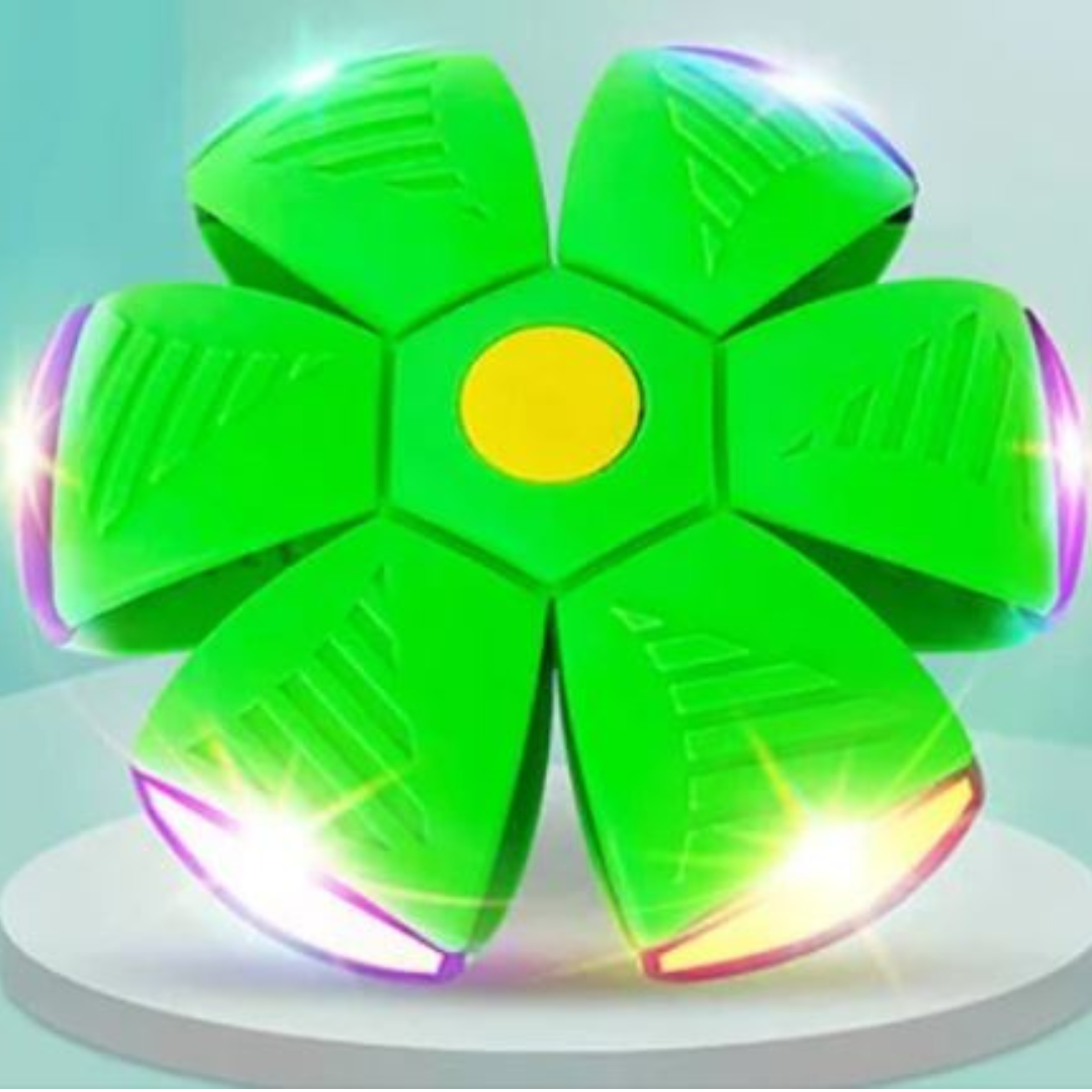 DiscBall β Dog Disc Ball Pet Toy