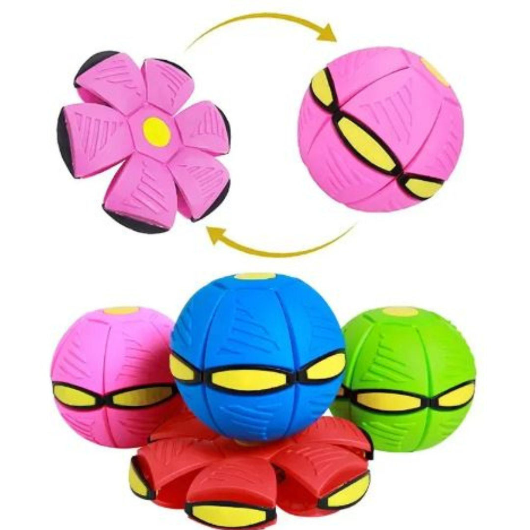 DiscBall β Dog Disc Ball Pet Toy