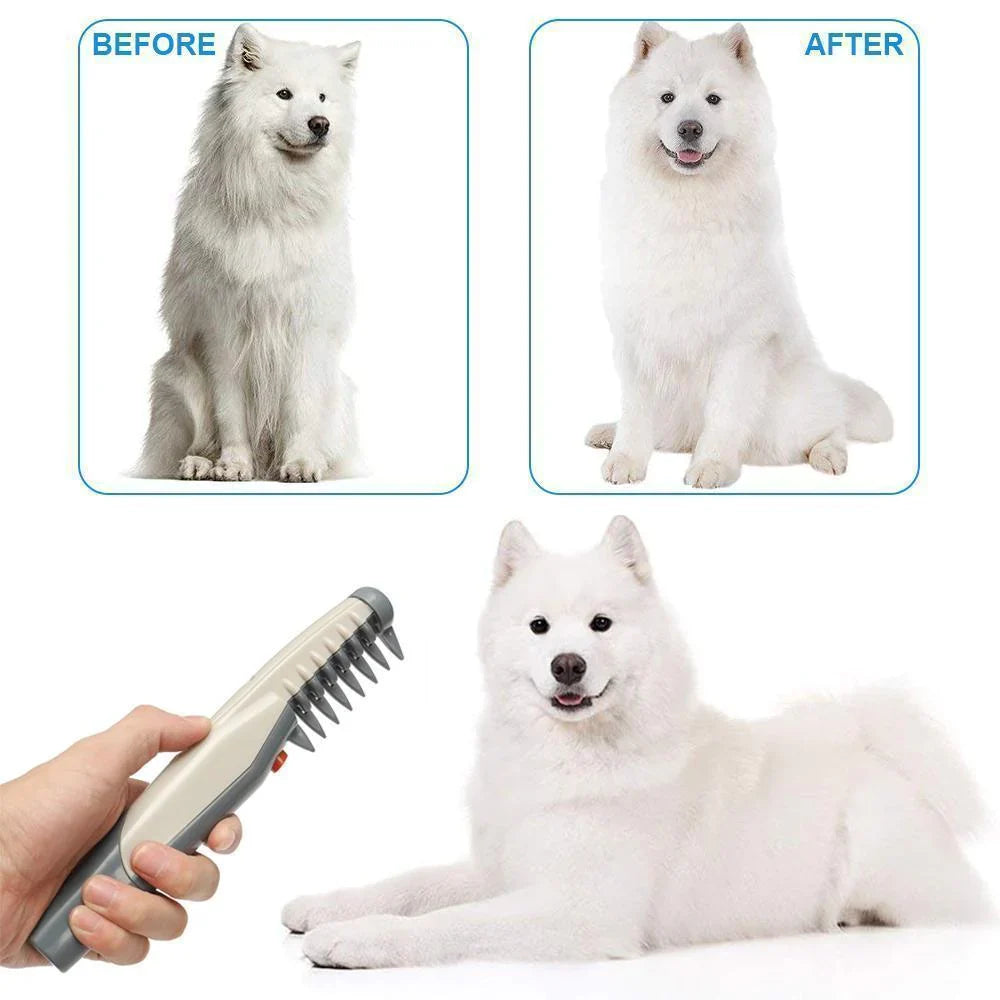 DogCatFri PetComb