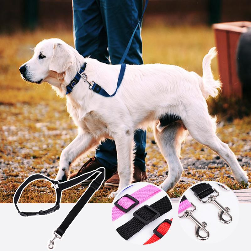 CarLeash – Adjustable Pet Safety Car Seat Belt