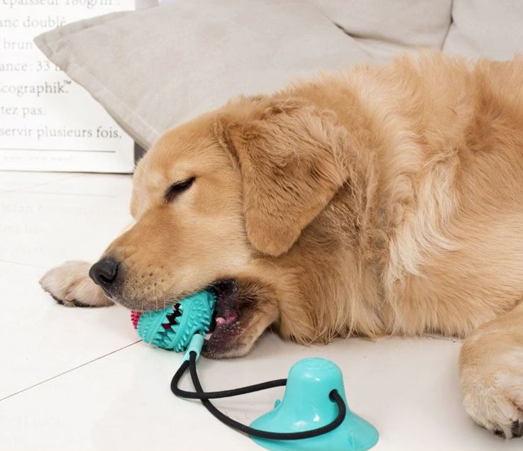 Dog TugToy – Primal Suction Interactive Tug Toy