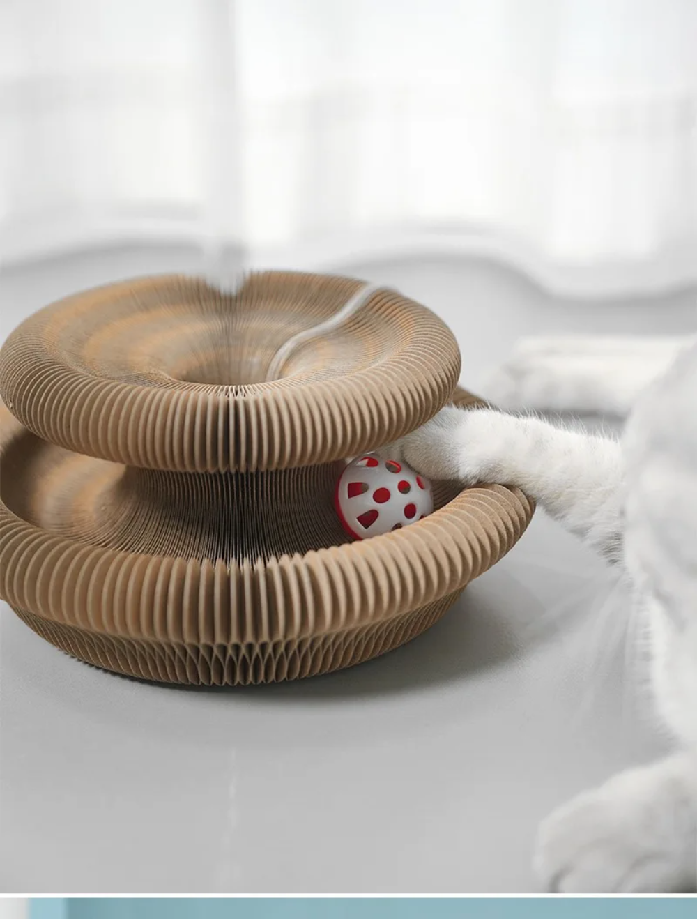 Catfri – The Cat Scratches