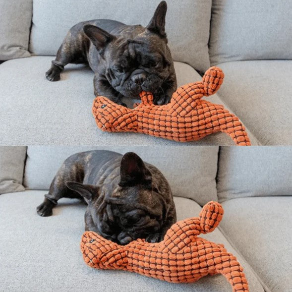 Indestructible Toy – Dog Toy