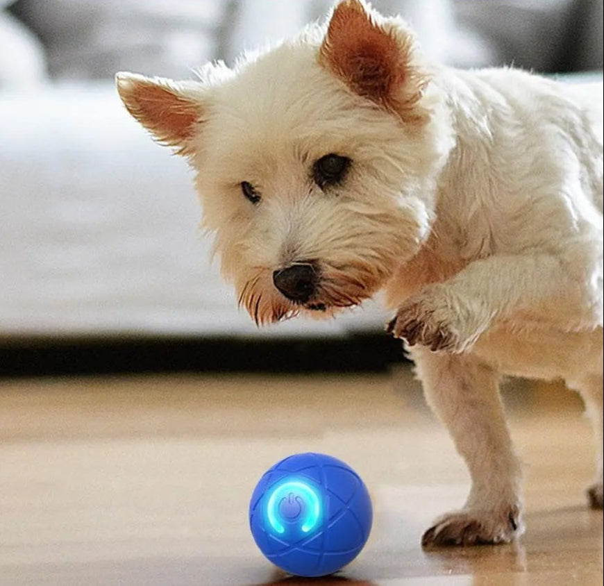 InteractiveBall – Rechargeable Interactive Pet Toy Ball